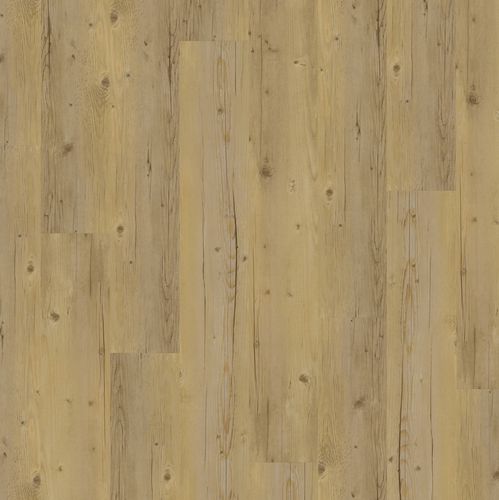 Blond Pine - JOKA Designboden 555 Click